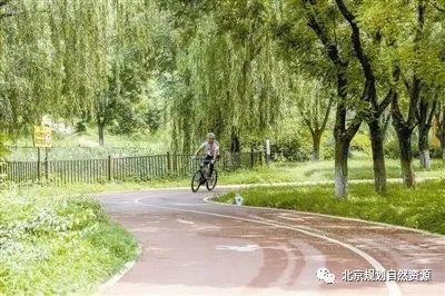 城市更新系列之七 | “城市双修”让城市生活更美好 城市更新系列之七 | “城市双修”让城市生活更美好