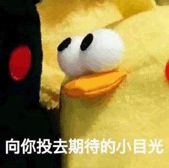 城市更新系列之四 | 老街区换新颜,看看是否有你家 城市更新系列之四 | 老街区换新颜,看看是否有你家