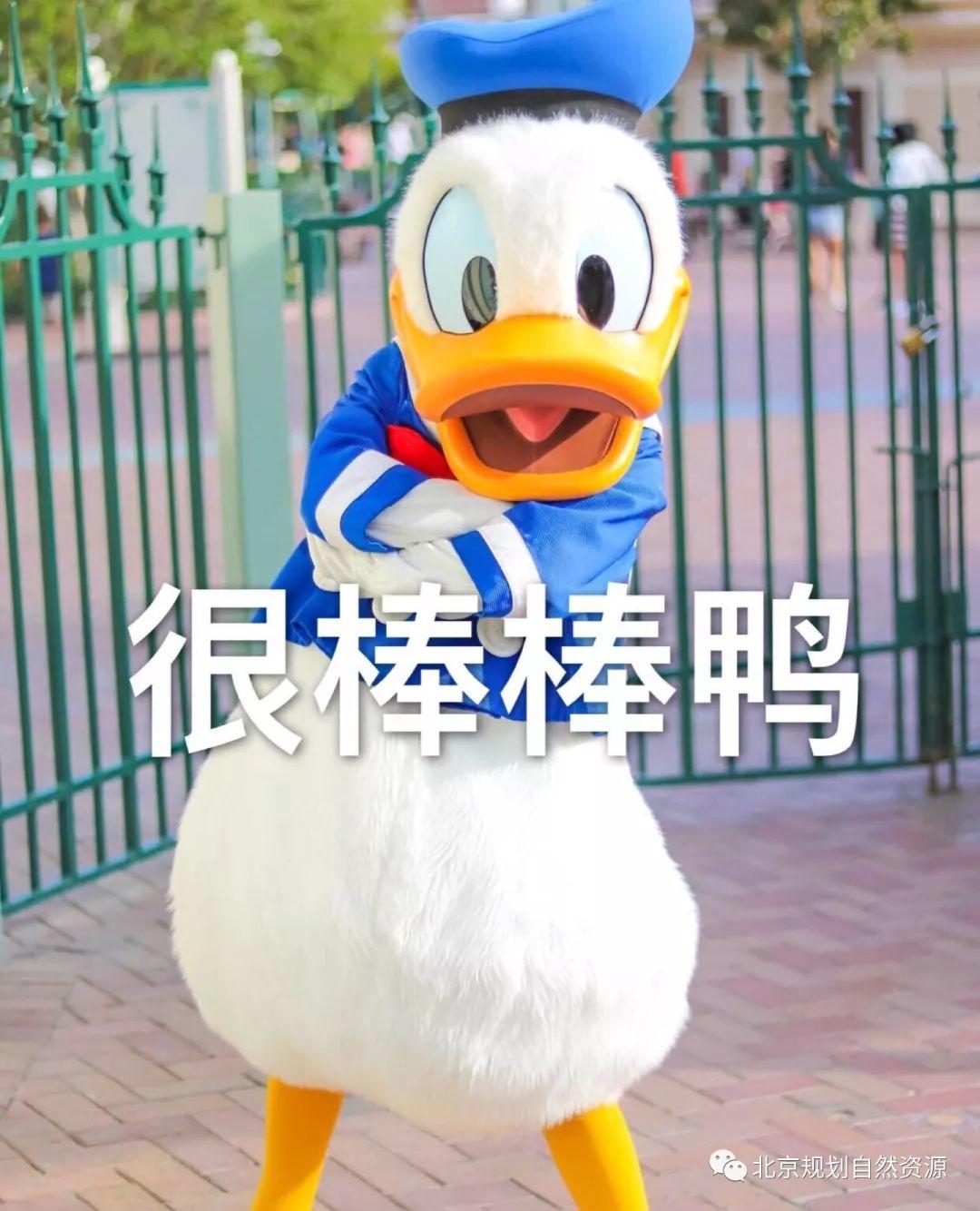 城市更新系列之八 | 城市治理背景下的街区更新与责任规划师 城市更新系列之八 | 城市治理背景下的街区更新与责任规划师