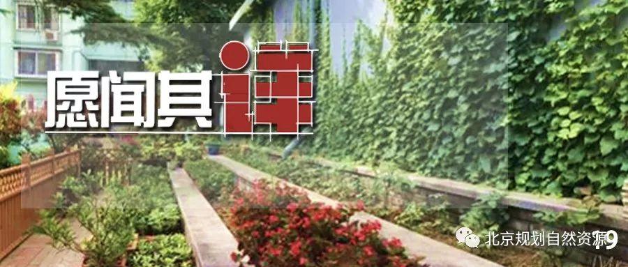 城市更新系列十三 | 百姓的生活,百姓的院:惠新西街33号院更新改造 城市更新系列十三 | 百姓的生活,百姓的院:惠新西街33号院更新改造