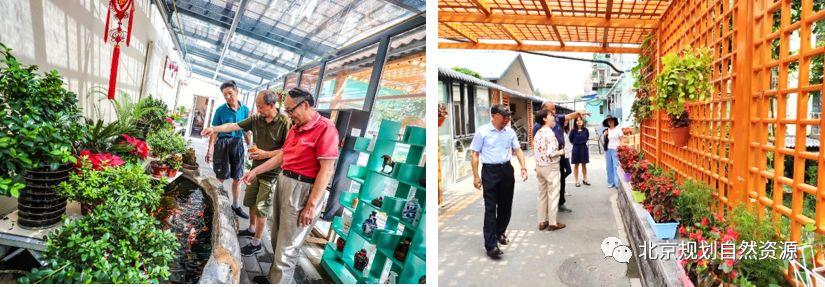 城市更新系列十三 | 百姓的生活,百姓的院:惠新西街33号院更新改造 城市更新系列十三 | 百姓的生活,百姓的院:惠新西街33号院更新改造