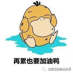 城市更新系列之八 | 城市治理背景下的街区更新与责任规划师 城市更新系列之八 | 城市治理背景下的街区更新与责任规划师