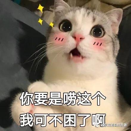 城市更新系列之四 | 老街区换新颜,看看是否有你家 城市更新系列之四 | 老街区换新颜,看看是否有你家