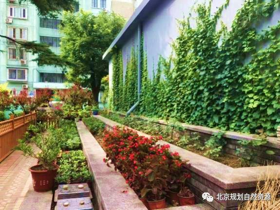 城市更新系列十三 | 百姓的生活,百姓的院:惠新西街33号院更新改造 城市更新系列十三 | 百姓的生活,百姓的院:惠新西街33号院更新改造