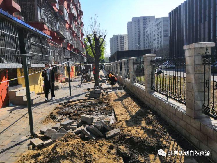 城市更新系列十三 | 百姓的生活,百姓的院:惠新西街33号院更新改造 城市更新系列十三 | 百姓的生活,百姓的院:惠新西街33号院更新改造