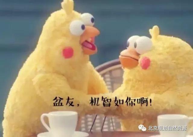 城市更新系列之四 | 老街区换新颜,看看是否有你家 城市更新系列之四 | 老街区换新颜,看看是否有你家