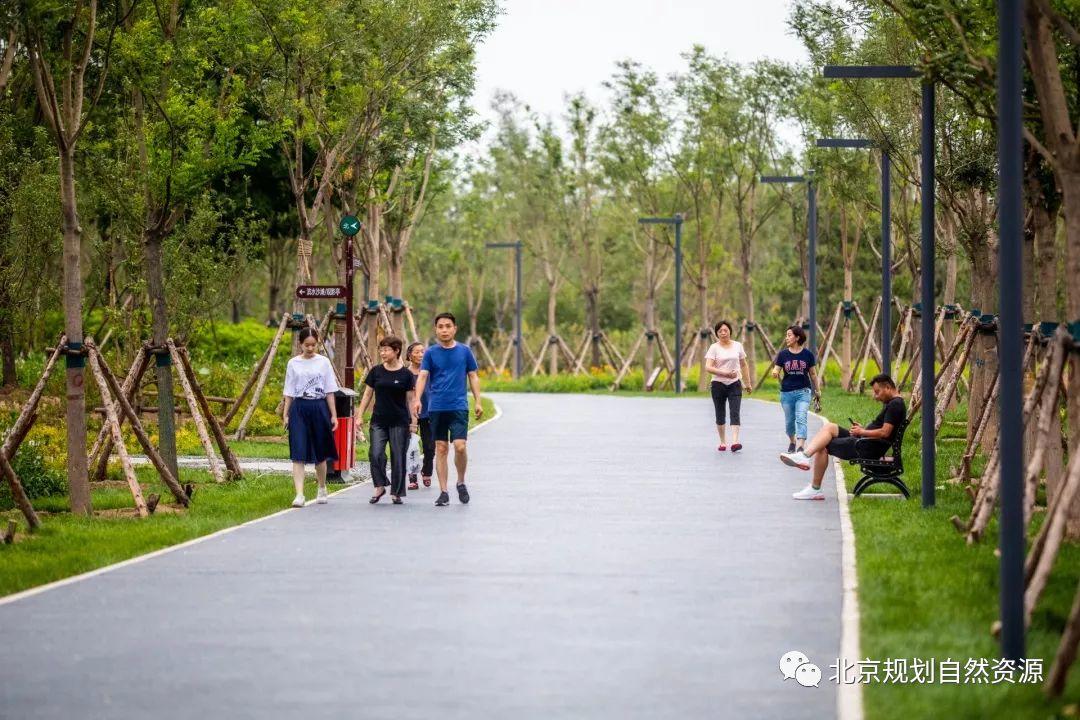 城市更新系列二十二 | 东小口城市休闲公园,为“回天”披上绿衣 城市更新系列二十二 | 东小口城市休闲公园,为“回天”披上绿衣