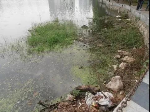 城市双修的江苏实践 | 南京：抓保护，促更新，精修复，建设美丽古都