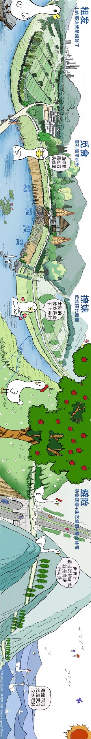 「新·悦读」国土空间规划之生态修复：鸭子也想吃海鲜