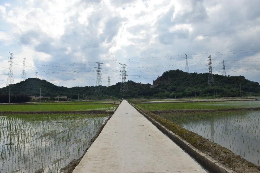 萧山区召开全域土地综合整治与生态修复工作现场推进会 萧山区召开全域土地综合整治与生态修复工作现场推进会