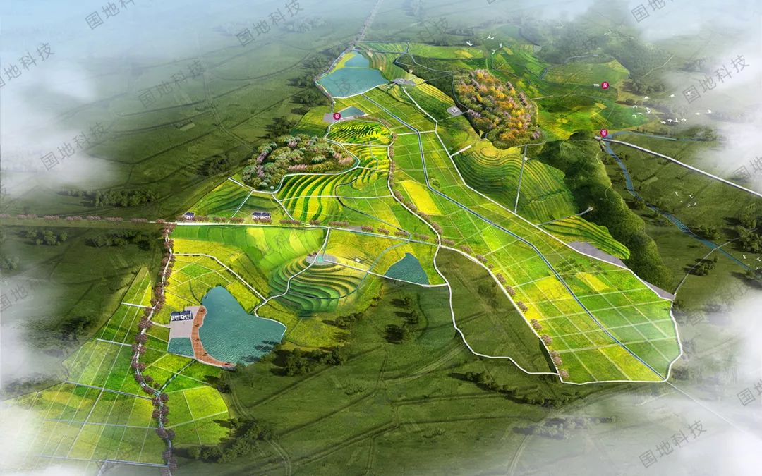 国地科技2019年代表性项目盘点之“国土整治与生态修复” 国地科技2019年代表性项目盘点之“国土整治与生态修复”