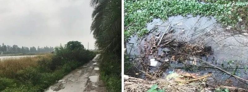 国地科技2019年代表性项目盘点之“国土整治与生态修复” 国地科技2019年代表性项目盘点之“国土整治与生态修复”