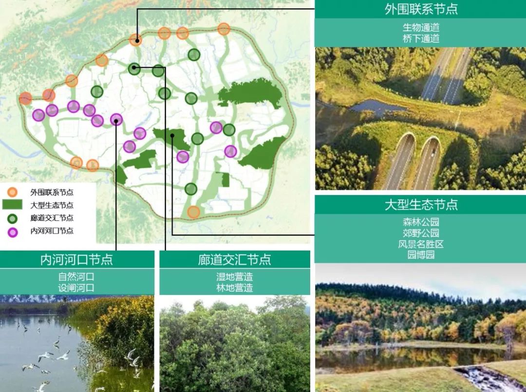 「新·思考」山水园林城市的国土空间生态修复