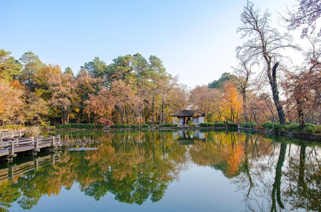 城市双修背景下的南方滨海城市生态修复规划
