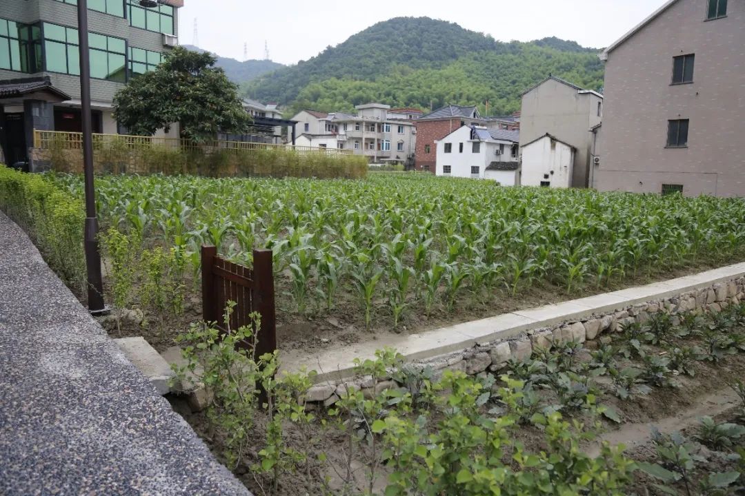 萧山区召开全域土地综合整治与生态修复工作现场推进会 萧山区召开全域土地综合整治与生态修复工作现场推进会