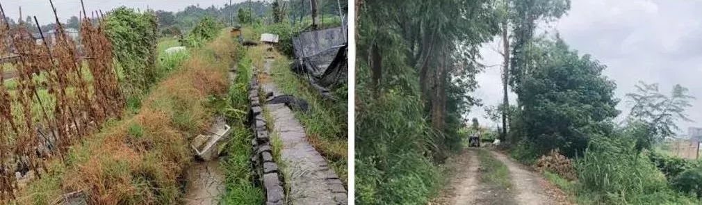 国地科技2019年代表性项目盘点之“国土整治与生态修复” 国地科技2019年代表性项目盘点之“国土整治与生态修复”