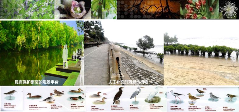城市双修背景下的南方滨海城市生态修复规划