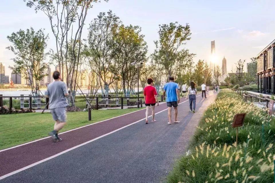 【疫情思考】发挥城市绿地效应，促进公共健康
