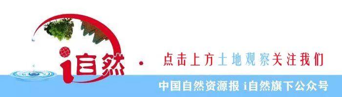 疫情防控期间土地政策亮点概览 疫情防控期间土地政策亮点概览