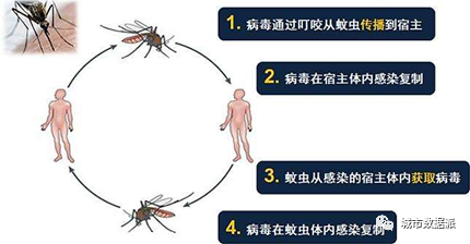 MIT 研究人员如何用手机数据追踪城市中的传染病？丨城市数据派