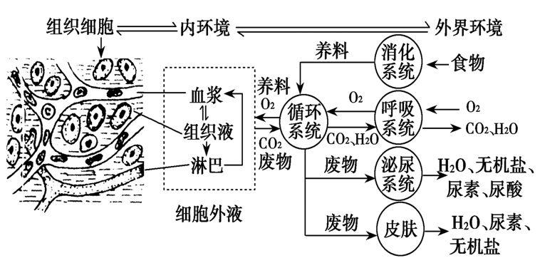 疫情思考 | 城市战“疫”的健康视角：活力与韧性的平衡