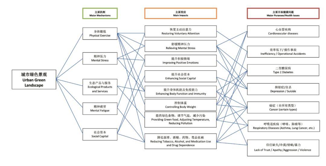 【疫情思考】健康城市景观的理论框架及重要研究方向与问题