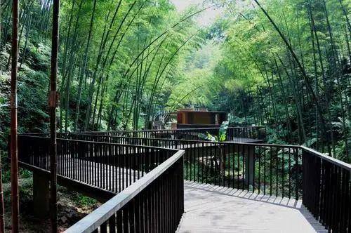 新城观察|疫情过后 文旅企业如何度过寒冬