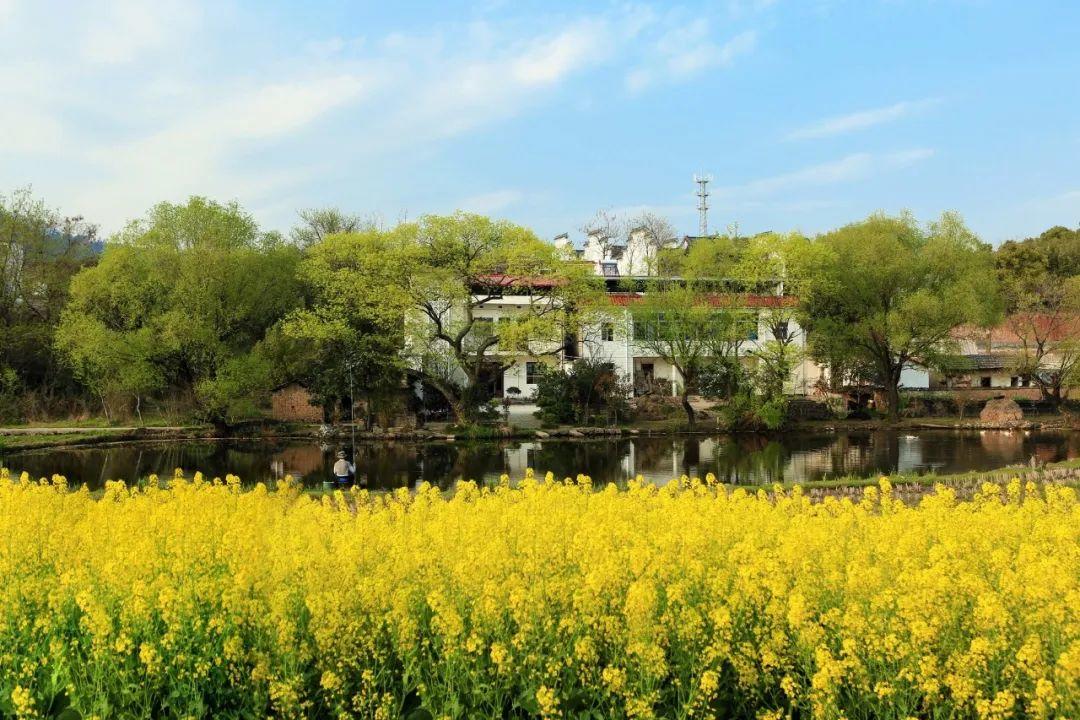 吴必虎：后新冠时期文旅行业不确定性及其管理