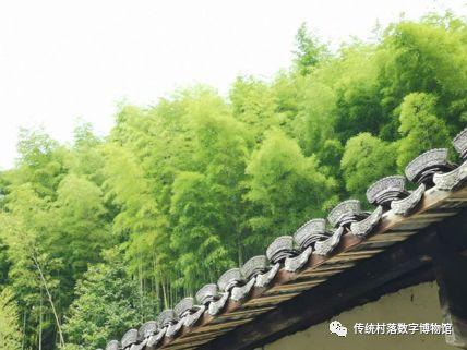 从乡村文献中窥见古代农村战“疫”历史 从乡村文献中窥见古代农村战“疫”历史