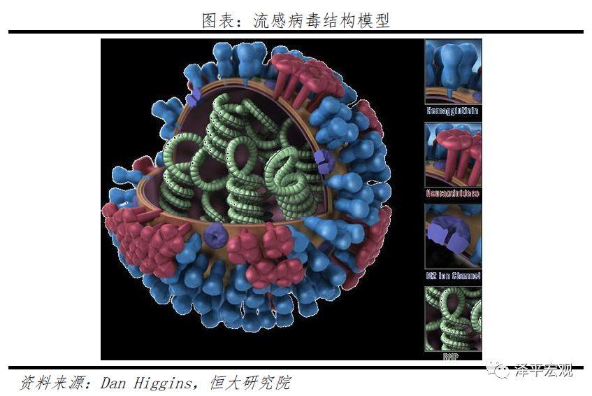全球历次大瘟疫：起源、影响、应对及启示