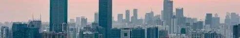 李晓江：没有疫情也应该深刻反思的问题（二） |  “大城市病”与城市治理