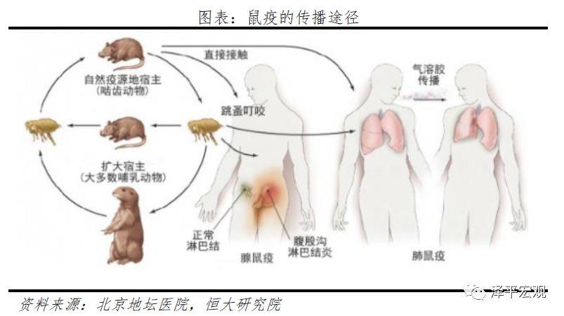 全球历次大瘟疫：起源、影响、应对及启示