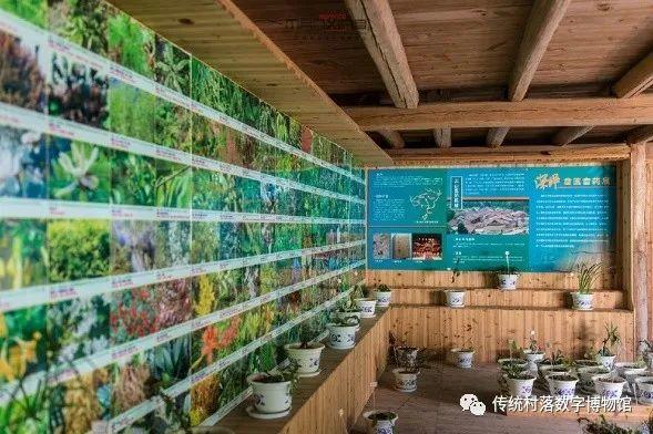 中国古代村落战“疫”的灵魂人物——乡村医家小考