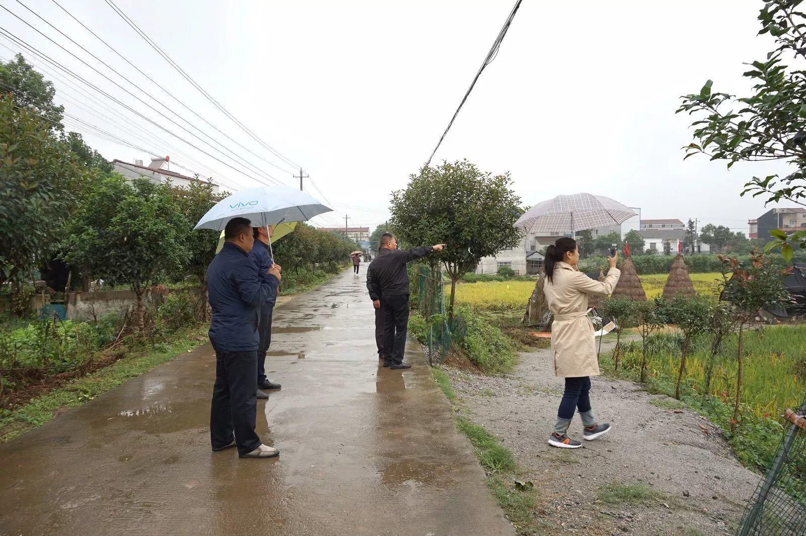 稻田里的艺术家 | 湖北石首草雕艺术志愿行