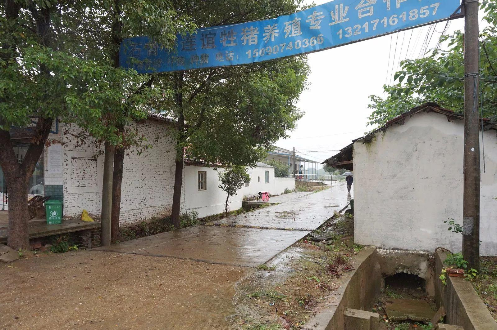 稻田里的艺术家 | 湖北石首草雕艺术志愿行