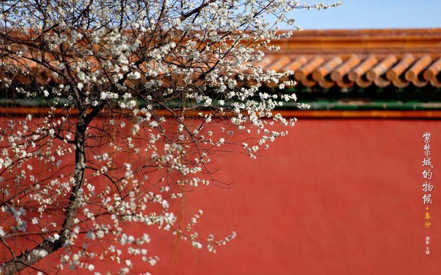 为什么中国建筑色彩单调，不像国外那样五彩缤纷？