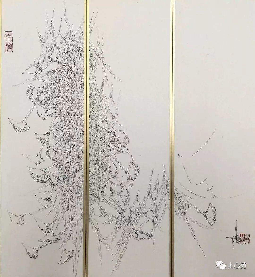 禅之花