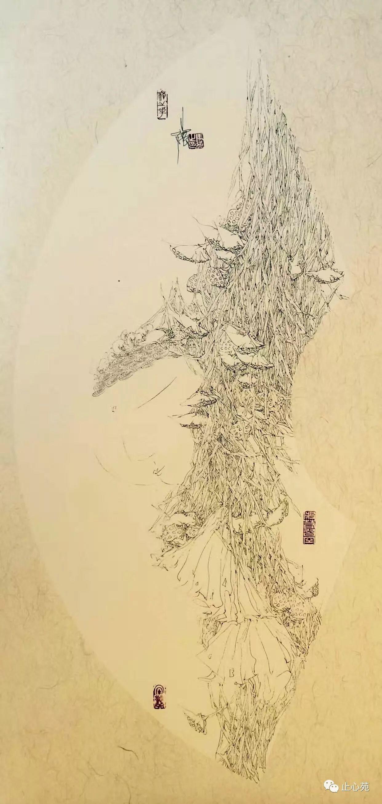 禅之花