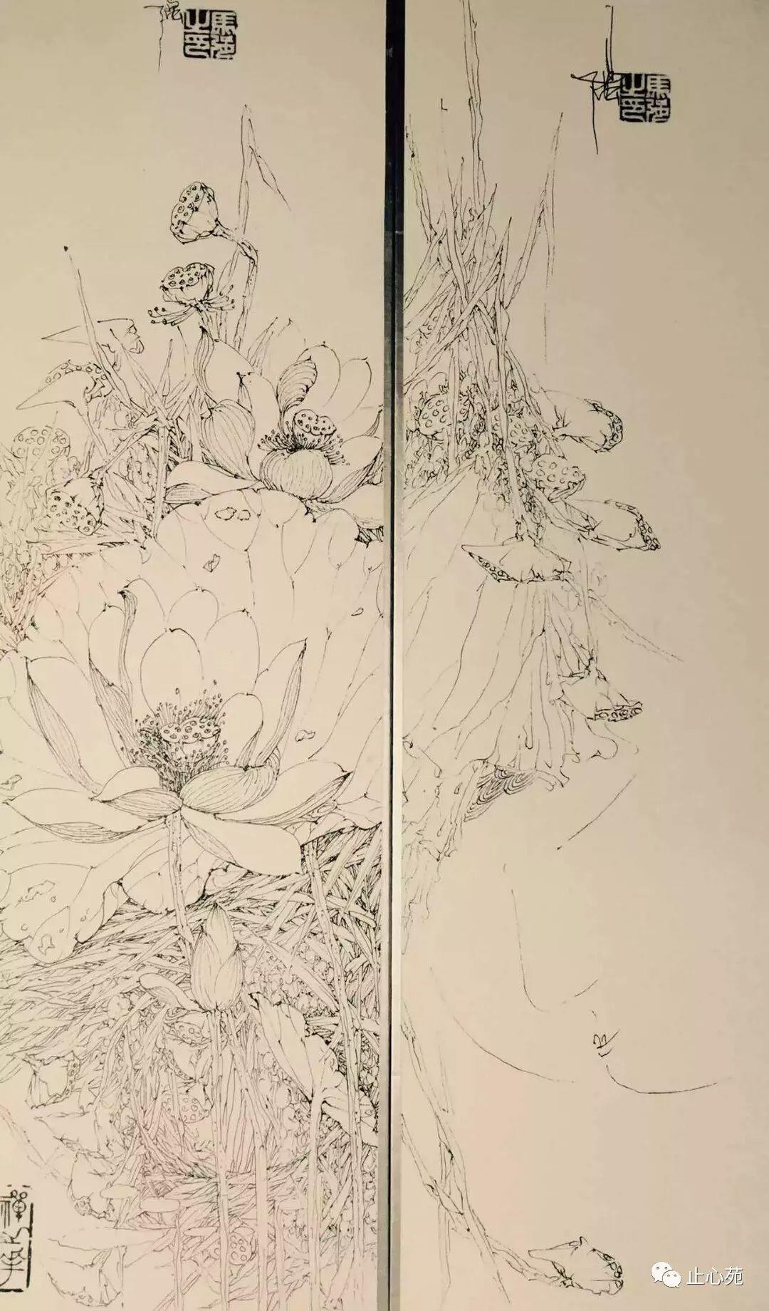 禅之花
