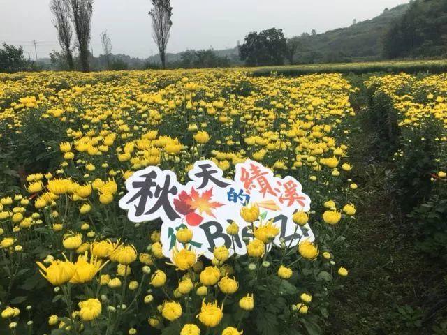 关于重阳节怎么过……不如一起来“返老还童”？？