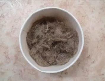 遗产视野丨泥地壁画制作：传统壁画技艺传承现场记录