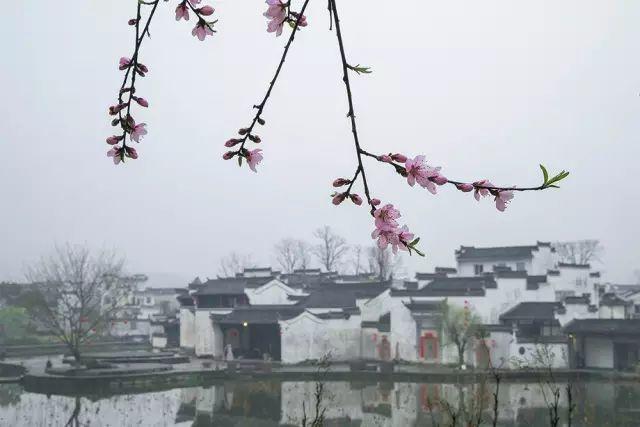皖南三月处处春