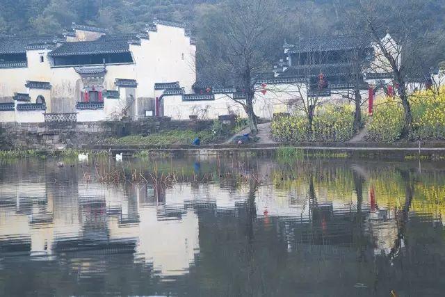 皖南三月处处春