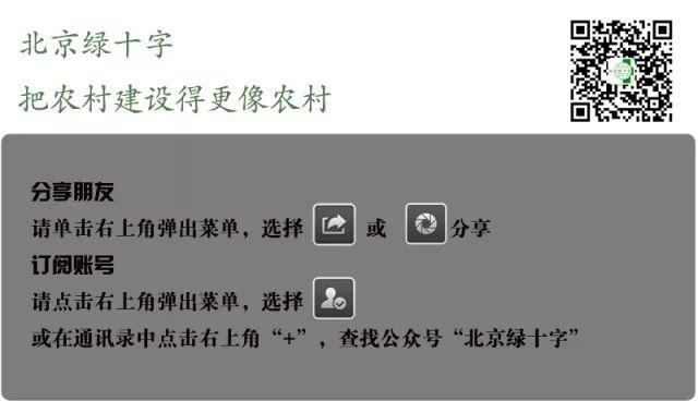 墨梅之间