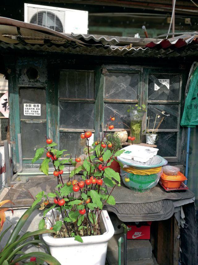 北京规划建设022 | 从城市体检到街区诊断 ——大栅栏城市更新调研