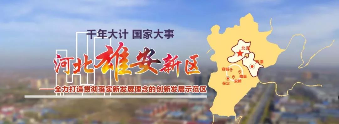 杨保军：国土空间格局是雄安开发和保护的总体框架
