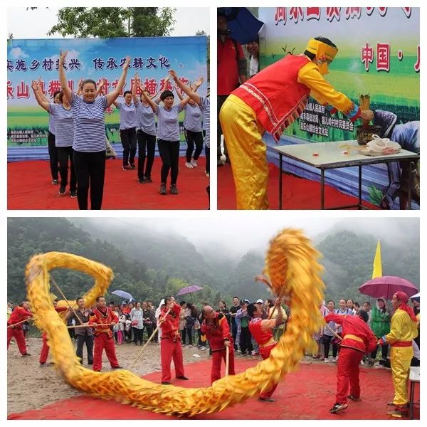 猫儿岭插秧节丨跑这么远就是为了到田里打个滚？？？