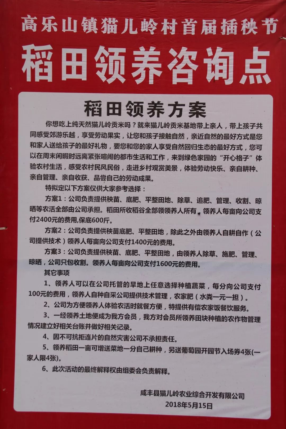 猫儿岭插秧节丨跑这么远就是为了到田里打个滚？？？