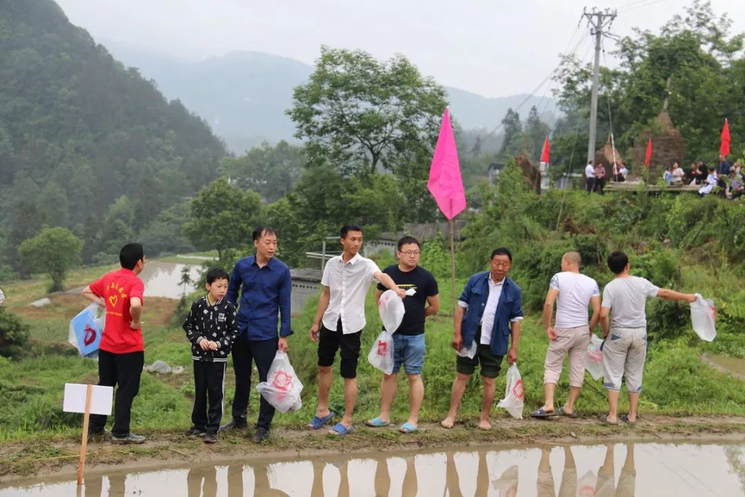 猫儿岭插秧节丨跑这么远就是为了到田里打个滚？？？