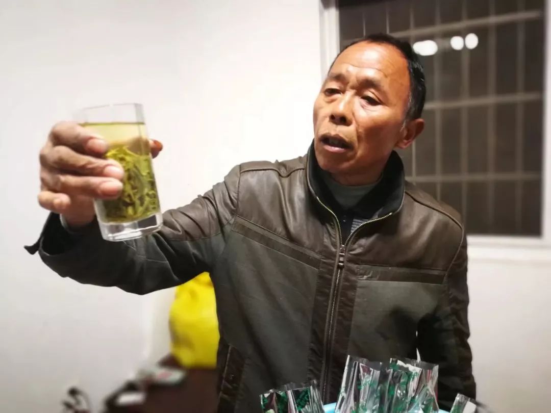 谷雨，胡适故乡的皖南春野茶